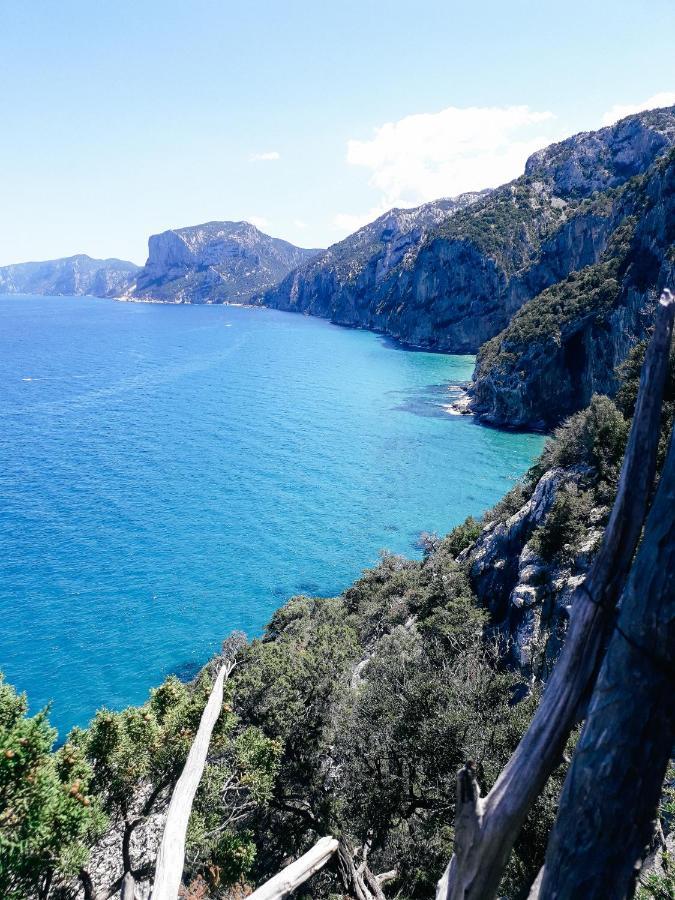 B&B Fradama' Holiday Dorgali Eksteriør bilde