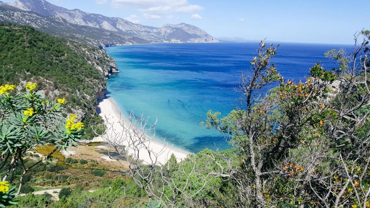 B&B Fradama' Holiday Dorgali Eksteriør bilde